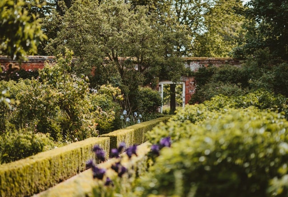 Landscaped garden with hedges and pathway