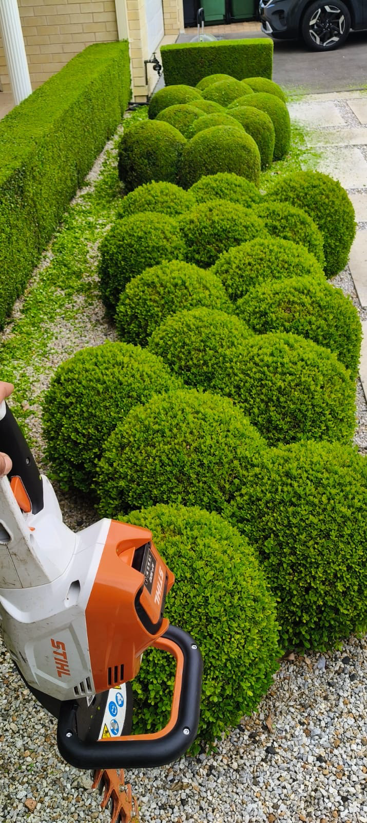 Hedge trimming
